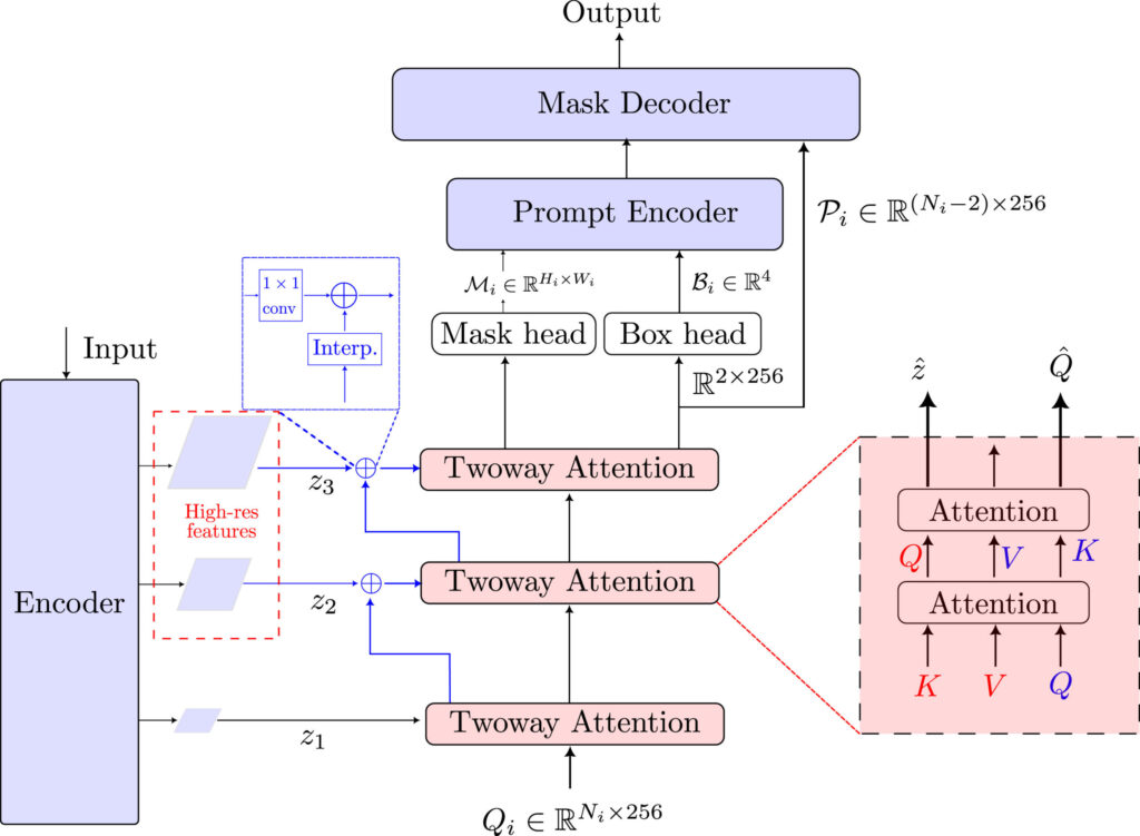 Sam2Rad architecture The Sam2Rad architecture incorporates a (hierarchical) two-way attention module to predict prompts for queried objects. Each object/class is represented by learnable queries . The Prompt Predictor Network (PPN) predicts bounding box coordinates of the target object , an intermediate mask prompt , and high-dimensional prompt embeddings . The prompt embeddings can represent various prompts suitable for the task, such as several point prompts or high-level semantic information. The predicted prompts (i.e., , , & ) are then fed to SAM’s mask decoder to generate the final segmentation mask. PPN also supports multi-class medical image segmentation by using class-specific queries .
