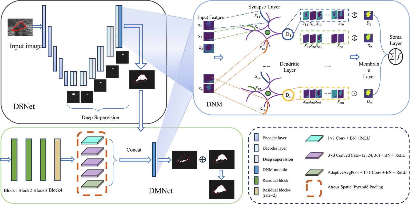 Breast ultrasound and lung CT segmentation masks compared across dilated convolution and dendritic neuron models