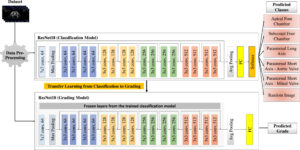 Fig. 8. The training process of the classification and grading of cardiac views.