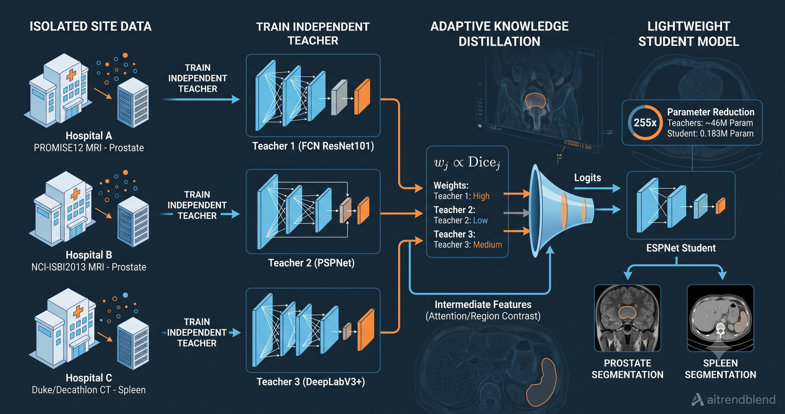 Diagram of adaptive multi-teacher knowledge distillation pipeline showing three teacher networks trained on isolated hospital datasets transferring knowledge to a lightweight ESPNet student model for MRI prostate and CT spleen segmentation