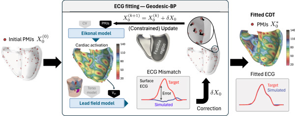 Advanced 3D visualization of a cardiology digital twin showing ventricular activation and ECG mapping