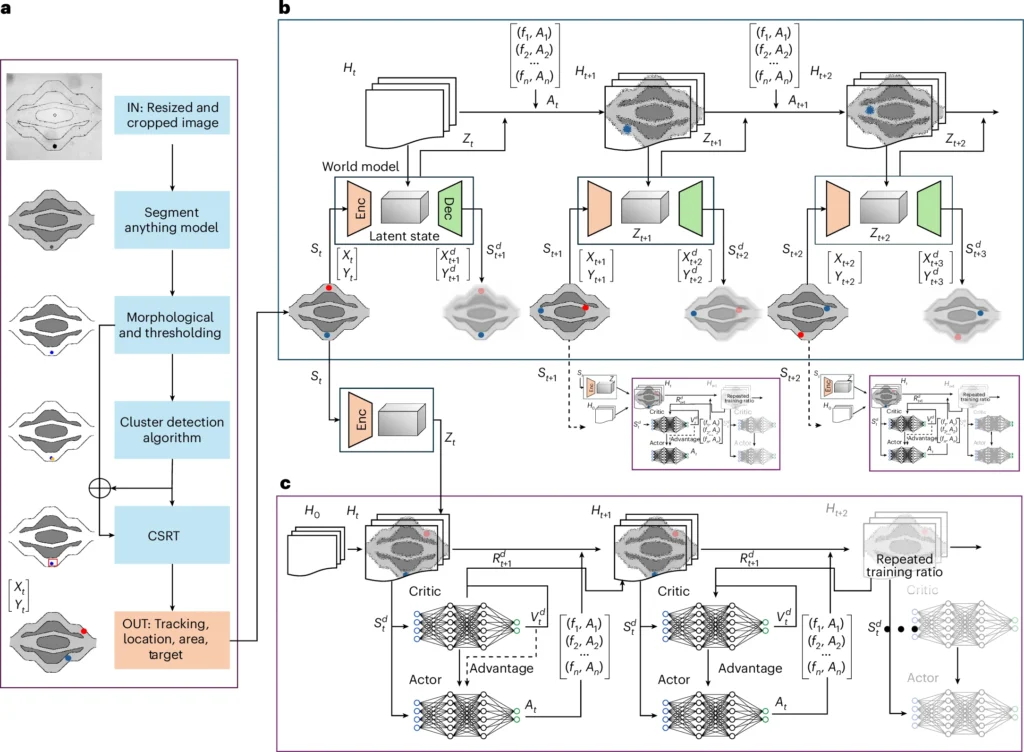 AI-controlled ultrasound microrobots navigating complex vascular networks with precision under microscopic view