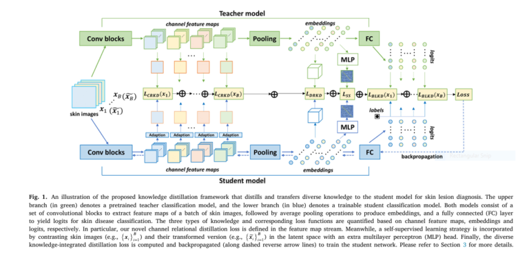 A novel SSD-KD framework for Skin Cancer Detection