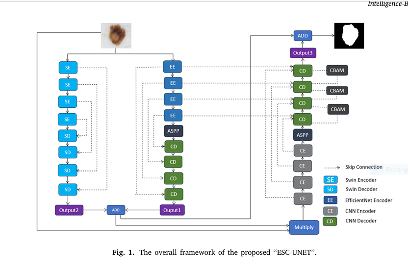 Visual comparison of skin lesion segmentation using U-Net, Att-UNet, and ESC-UNET on ISIC 2016 dataset showing superior edge detection and accuracy of ESC-UNET.