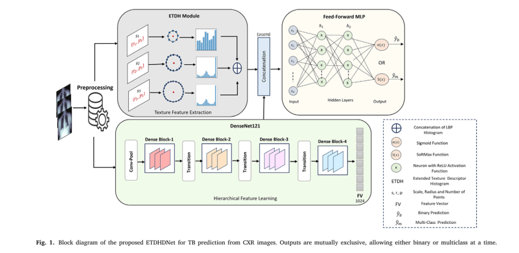 ETDHDNet model architecture for advanced tuberculosis prediction in chest X-rays – a fusion of texture analysis and deep learning.