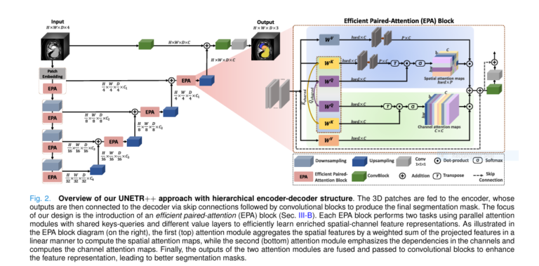 UNETR++ outperforms traditional 3D medical image segmentation methods with 71% fewer parameters and higher accuracy.