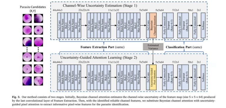 Uncertainty-guided attention model for malaria detection