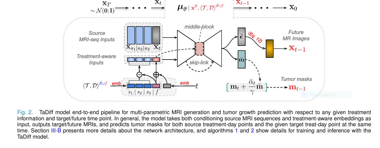 Sequence of brain MRI scans showing predicted glioma growth over time next to an uncertainty heat map from the TaDiff diffusion model