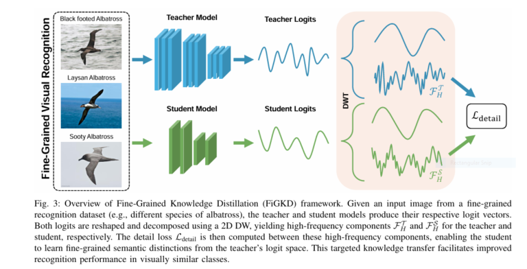 Comparison of knowledge Distillation based student-teacher models using FiGKD vs traditional KD highlighting improved fine-grained recognition with high-frequency detail transfer