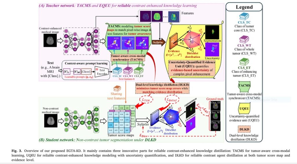 Medical AI transforming tumor segmentation with EGTA-KD technology