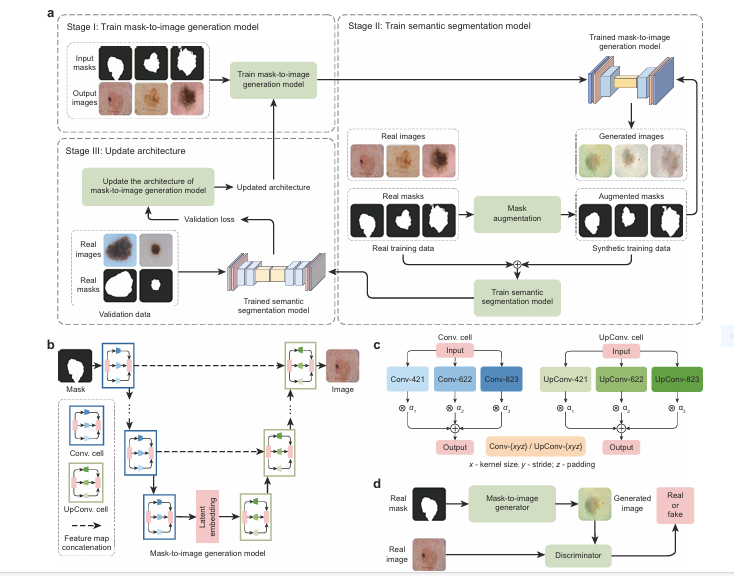 Diagram illustrating GenSeg’s multi-level optimization for ultra low-data medical image segmentation