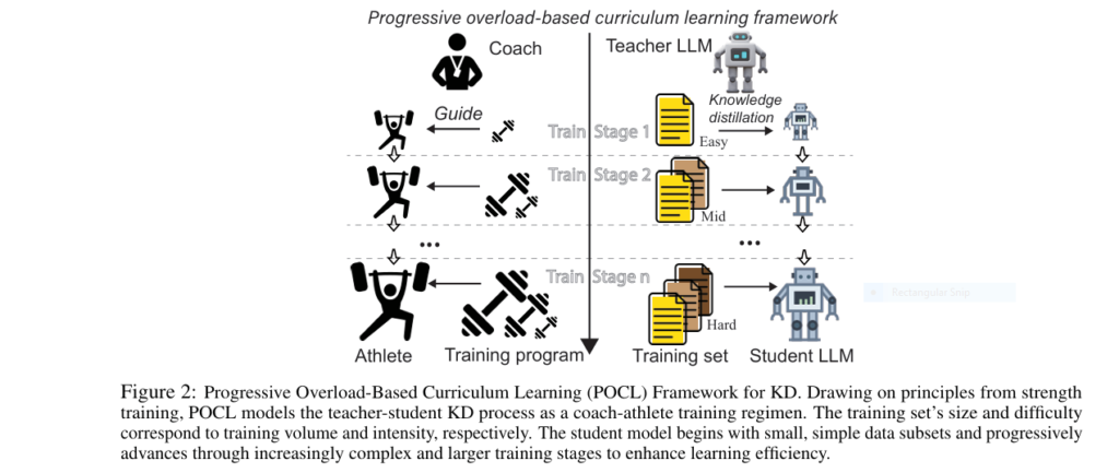 POCL Framework: 2.5X Faster LLMs Distillation Without Collapse
