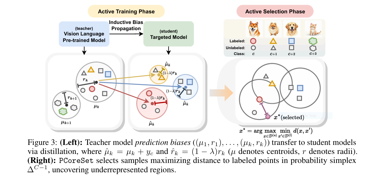 Illustration of a probability simplex showing clustered vision language model predictions being targeted by an active learning selection strategy for unlabeled samples