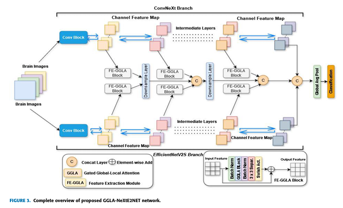 Complete overview of proposed GGLA-NeXtE2NET network.