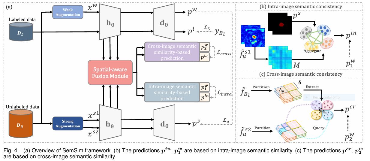 Intra image and cross image semantic consistency framework for semi supervised segmentation of cardiac MRI, skin lesion, and prostate MRI scans