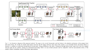 Visual diagram showing a large teacher model guiding a smaller student model via two distinct knowledge Distillation pathways, symbolizing Dual-Forward Path Distillation.