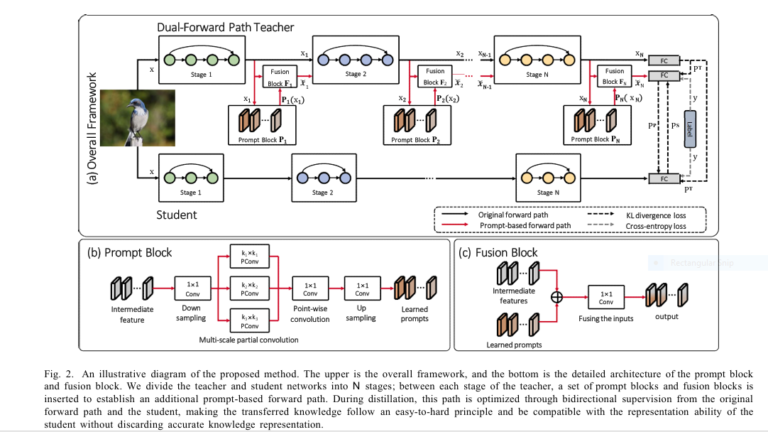 Visual diagram showing a large teacher model guiding a smaller student model via two distinct knowledge Distillation pathways, symbolizing Dual-Forward Path Distillation.