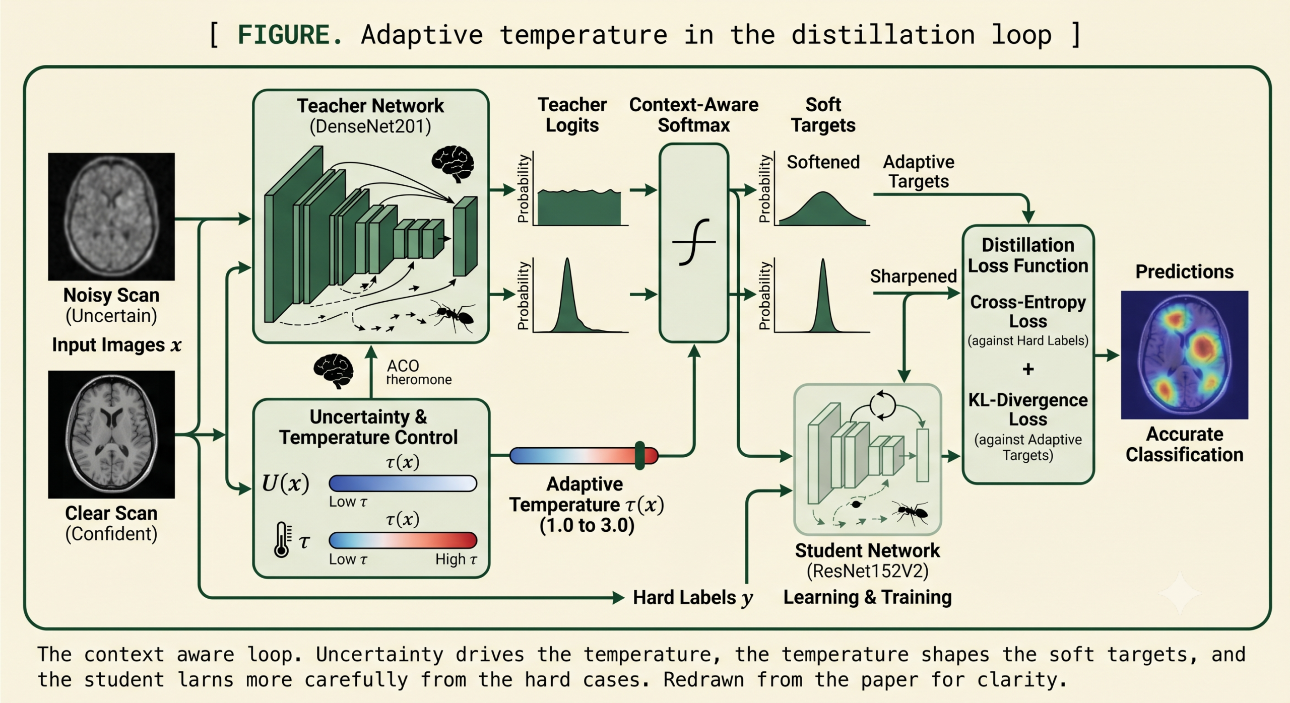 Context aware adaptive knowledge distillation adjusting temperature by image uncertainty for brain tumor and gastrointestinal disease detection