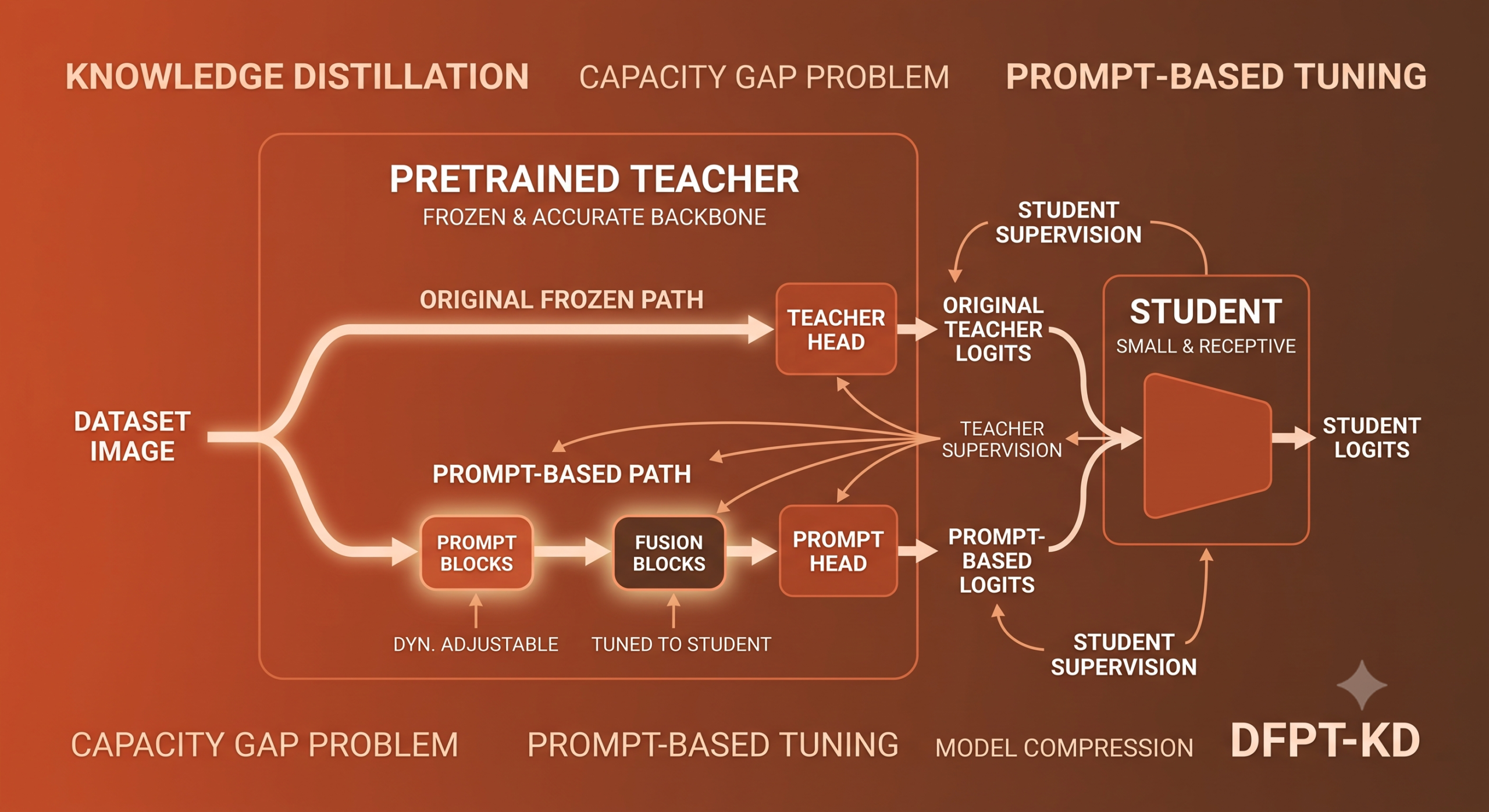 Dual Forward Path Teacher Knowledge Distillation Explained