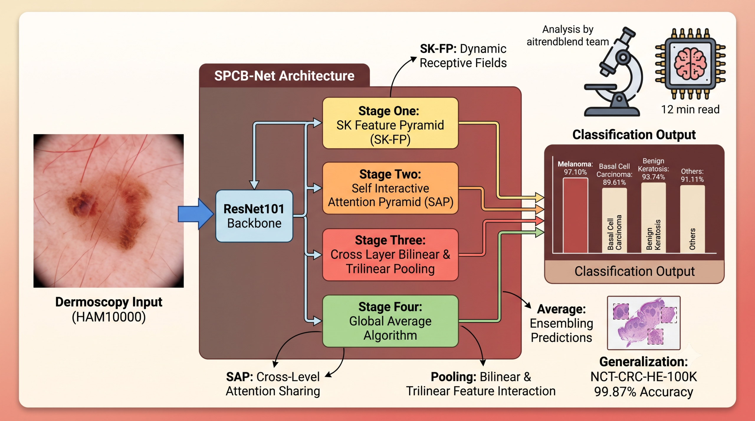 Diagram style illustration of a dermoscopy skin lesion image feeding into a multiscale attention pyramid network for skin cancer classification