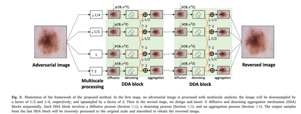 Illustration of the framework of the proposed method. In the first stage, an adversarial image is processed with multiscale analysis: the image will be downsampled by a factor of 1/2 and 1/4, respectively, and upsampled by a factor of 2. Then in the second stage, we design and insert 𝑁 diffusive and denoising aggregation mechanism (DDA) blocks sequentially. Each DDA block involves a diffusive process (Section 3.2), a denoising process (Section 3.3), and an aggregation process (Section 3.4). The output samples from the last DDA block will be inversely processed to the original scale and smoothed to obtain the reversed image.