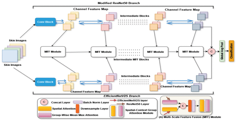 The complete workflow of proposed EG-VAN model.