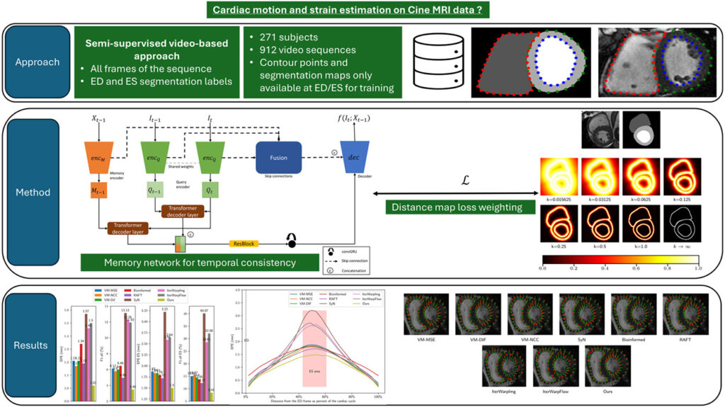 Infographic showing AI-powered cardiac strain estimation using distance maps and memory networks, compared to traditional methods in MRI analysis.
