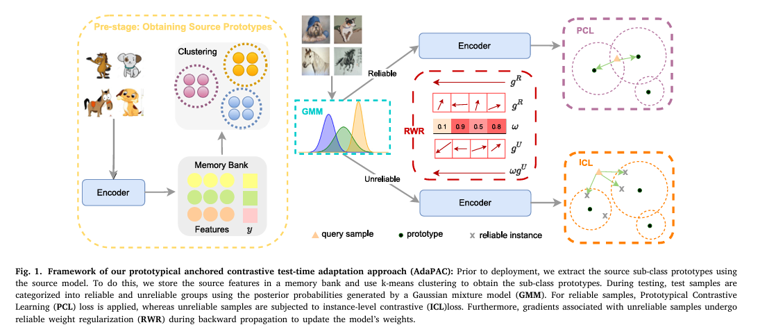 Illustration of AdaPAC test time adaptation sorting unlabeled test images into reliable and unreliable samples using source prototypes for domain generalization