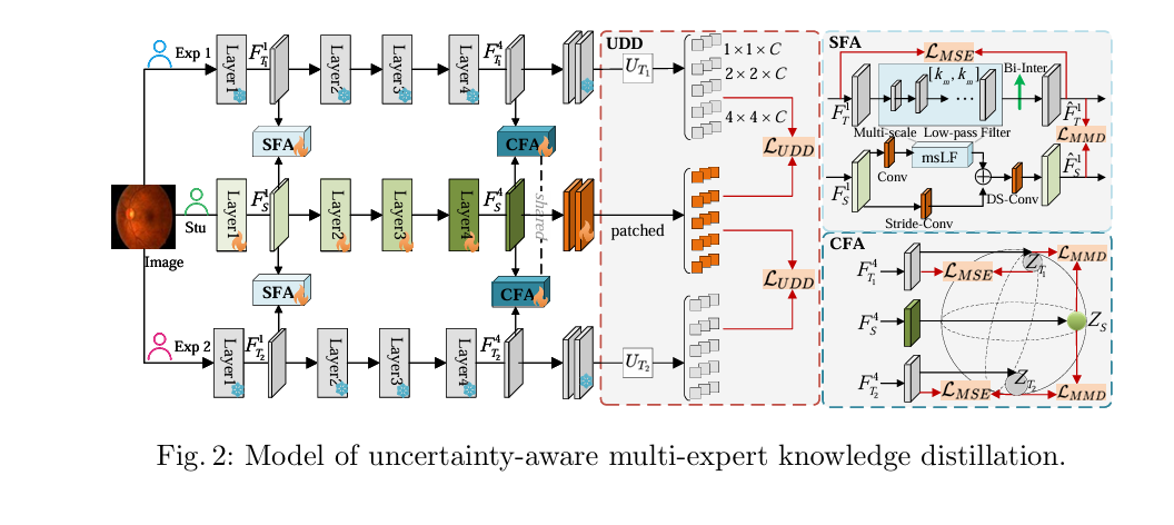 Knowledge Distillation : Illustration of two expert neural networks transferring grading knowledge to a smaller student network for prostate and retinal disease grading