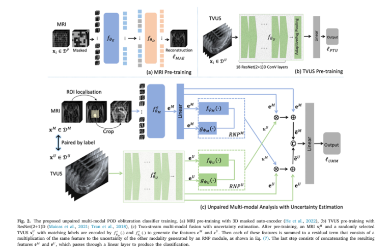 AI-powered endometriosis detection using MRI and ultrasound – a side-by-side comparison of normal and obliterated Pouch of Douglas with algorithmic heatmaps showing automated diagnosis