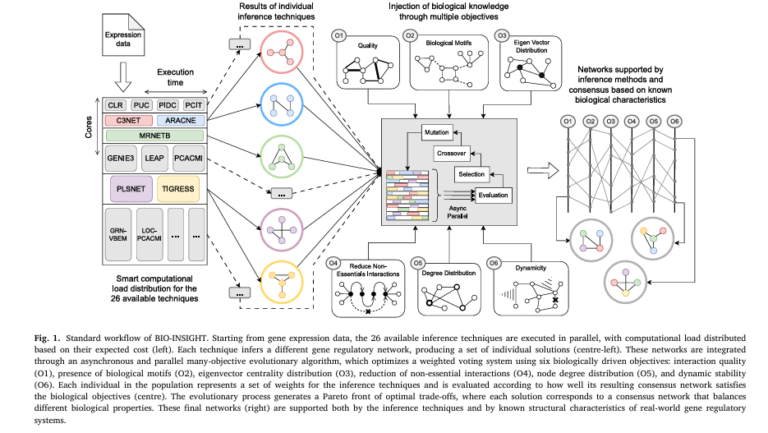 BIO-INSIGHT workflow with gene network mapping