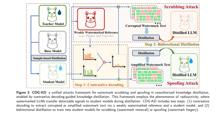 Diagram showing a hacker exploiting watermark radioactivity in a large language model through knowledge distillation, bypassing both ownership verification and safety filter