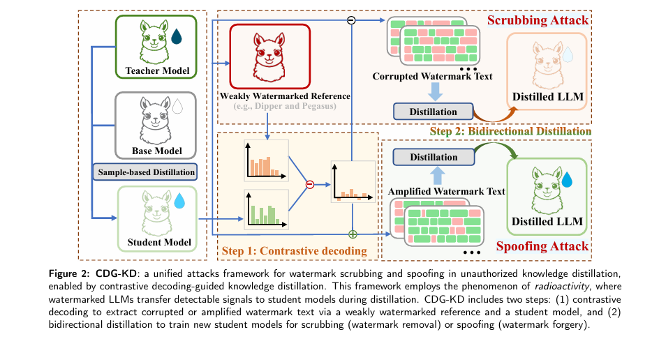 Diagram showing a hacker exploiting watermark radioactivity in a large language model through knowledge distillation, bypassing both ownership verification and safety filter