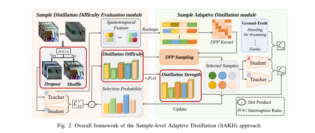 Diagram of sample-level adaptive knowledge distillation framework for video action recognition, showing temporal interruption and DPP-based sample selection pipeline