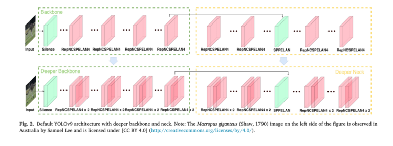 Scientific visualization of YOLO-FCE model outperforming older AI detection systems in identifying Australian wildlife species.