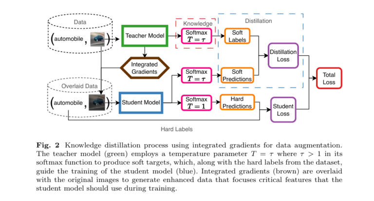 Integrated Gradients BOOST Knowledge Distillation