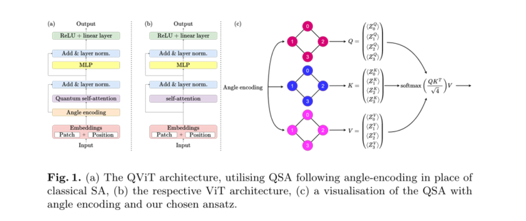 Diagram showing Quantum Vision Transformer (QViT) architecture with Quantum Self-Attention (QSA) replacing classical Self-Attention (SA) in a biomedical image classification model.
