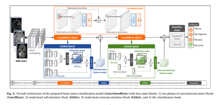 Illustration of the ConvAttenMixer model architecture showing MRI input, convolutional layers, self-attention, external attention, and classification output for brain tumor detection.