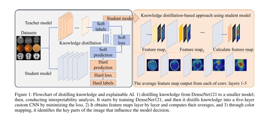 Visual explanation of Knowledge Distillation and Feature Map Visualization (KD-FMV) in medical AI models using CNNs for brain tumor, eye disease, and Alzheimer’s classification.