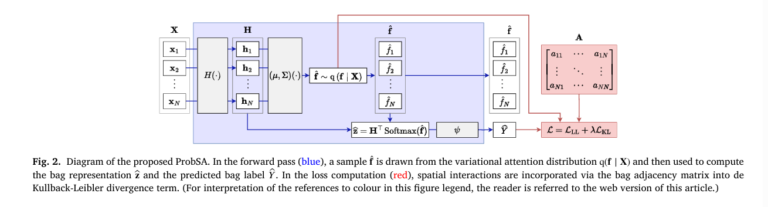 Illustration of probabilistic smooth attention in a deep learning model for medical image classification, showing uncertainty maps and attention heatmaps over patches of a whole slide image and CT scan slices.