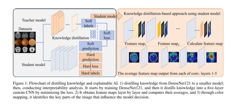 Visual explanation of Knowledge Distillation and Feature Map Visualization (KD-FMV) in medical AI models using CNNs for brain tumor, eye disease, and Alzheimer’s classification.