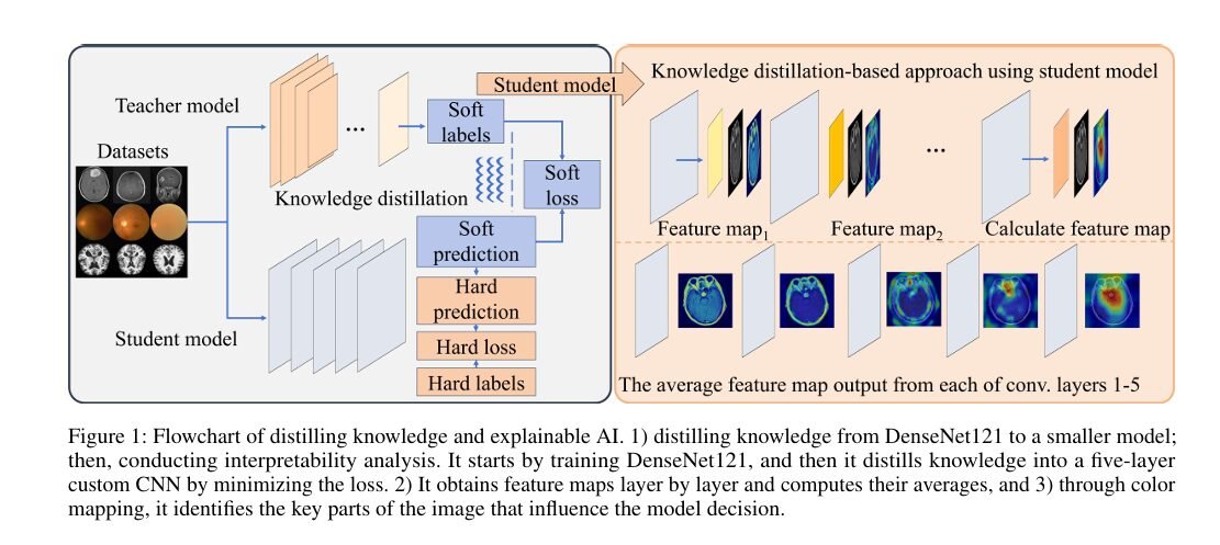 Layered brain MRI scans showing heatmap overlays from a knowledge distillation explainable AI model