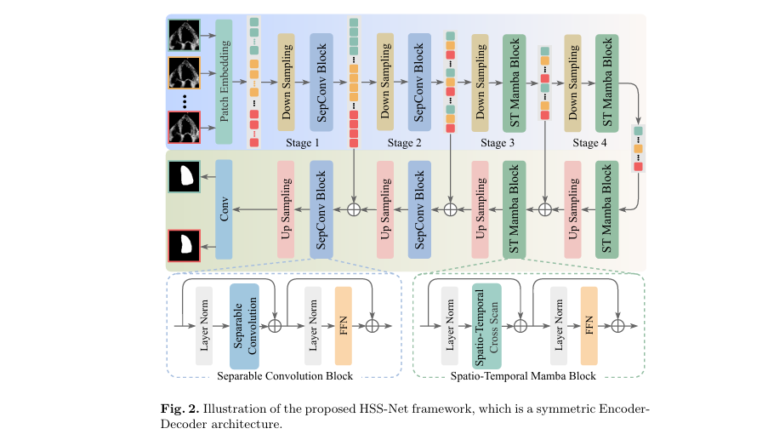 Diagram of HSS-Net architecture showing encoder-decoder structure with separable convolution and Mamba blocks for echocardiography video segmentation.
