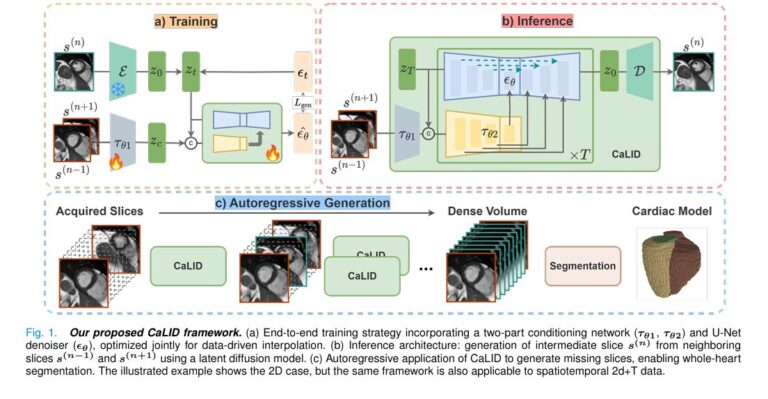 CaLID model for 3D Volume Reconstruction