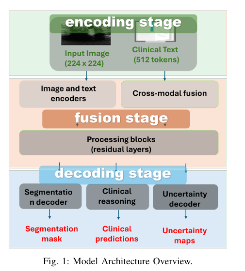 Med-CTX model architecture for explainable breast cancer ultrasound segmentation using clinical reports and BI-RADS integration