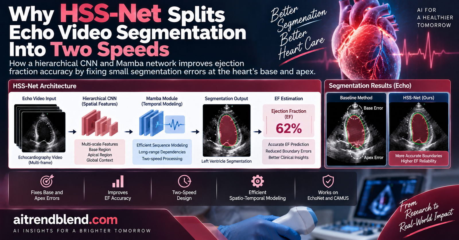 Side by side echocardiography segmentation maps comparing ground truth, predicted, and overlapping left ventricle regions at end diastole and end systole