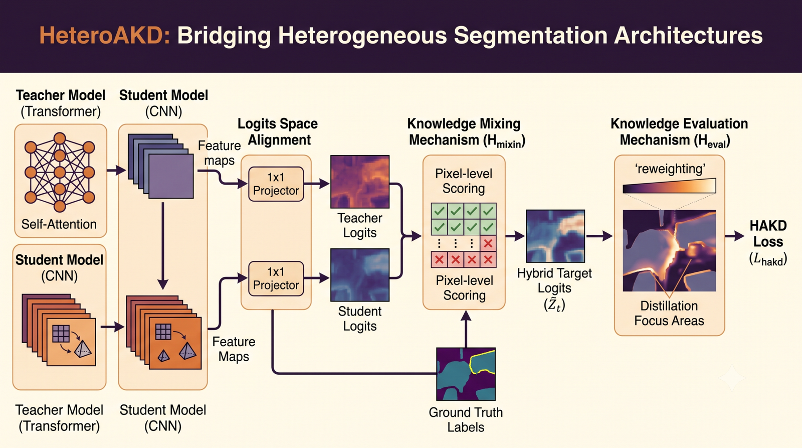 Diagram style illustration of a compact segmentation model learning from both a CNN teacher and a transformer teacher through a shared logits space