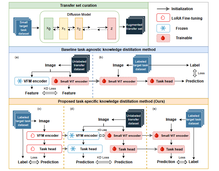 Task-specific knowledge distillation pipeline where a LoRA fine-tuned Segment Anything teacher transfers encoder features and decoder masks to a small ViT-Tiny student for medical image segmentation