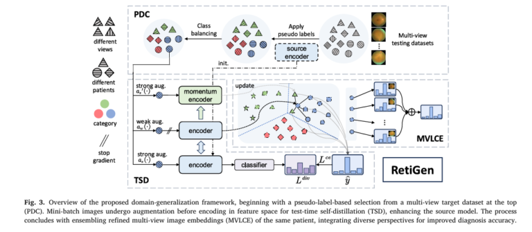 RetiGen: Revolutionizing Retinal Diagnostics with Domain Generalization and Test-Time Adaptation