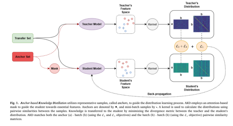 Anchor-Based Knowledge Distillation (AKD), a breakthrough in trustworthy AI for efficient model compression.